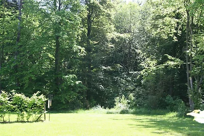 Bungalow in Eifel nahe Wanderwegen
