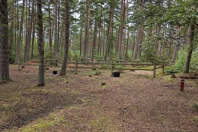 6 persone case ad Læsø-By Traum