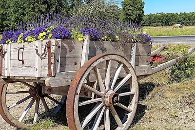 5 Personen Ferienhaus in ELLÖS-By Traum
