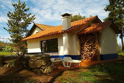 Ferienhaus mit 1 Schlafzimmer