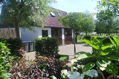 Wohnung mit 0 Schlafzimmer
