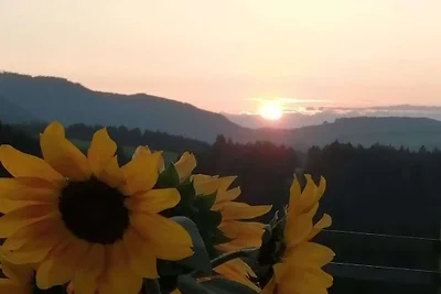 Girasole-Oberbühl