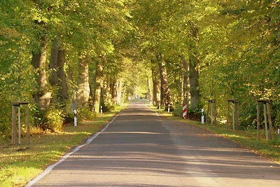 La STALLA più accogliente