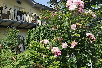 Holiday apartment with 1 bedroom