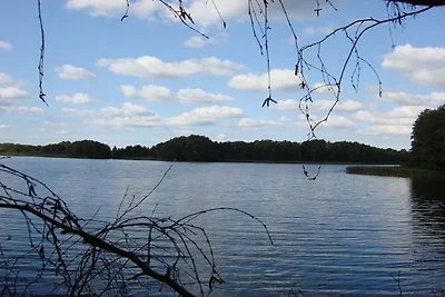 Am Pagelsee im Müritz-Nationalpark