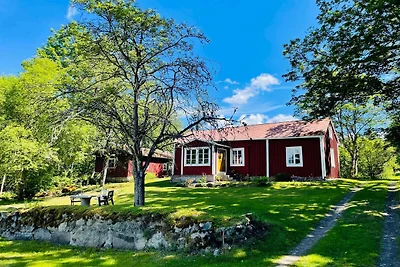 6 Personen Ferienhaus in Backaryd