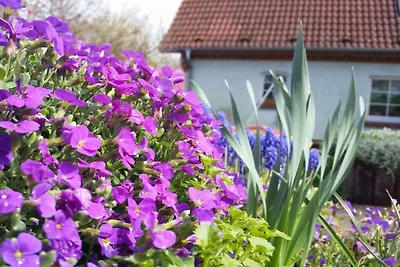 Ferienhaus Erholungsurlaub Zarrentin am Schaalsee
