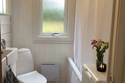 4 Personen Ferienhaus in Blokhus-By Traum