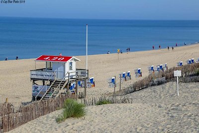 Appartement in Westerland auf Sylt