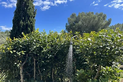 Villa in rio elba mit Barbecue und Wifi