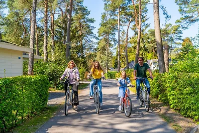 Prachtig chalet op een vakantiepark