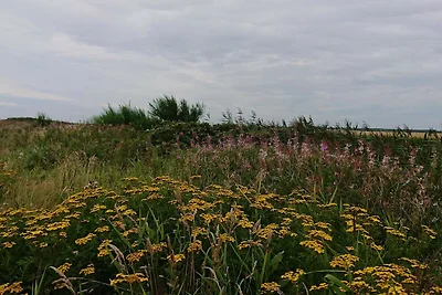 8 Personen Ferienhaus in Skjern-By Traum