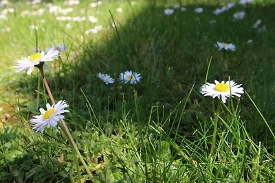 Casa Neeltje, appartamento 2