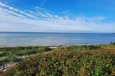 9 Personen Ferienhaus in Jægerspris-By Traum