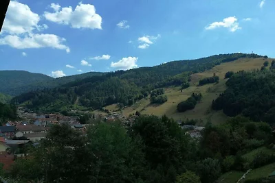Ferienwohnung in Todtnau mit Wifi