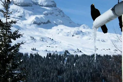 Komfortables und geräumiges Apartment · Am Fu...