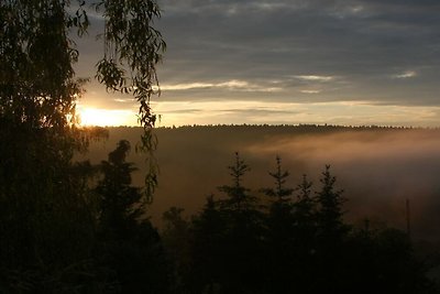 Fuchs und Has - Gut´Nacht