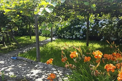 Casa vacanze a Vale de Cambra