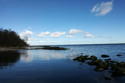 Strandflucht mit Aussicht -- By Traum...