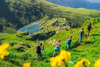 Wohnung im Wald nahe Skipisten