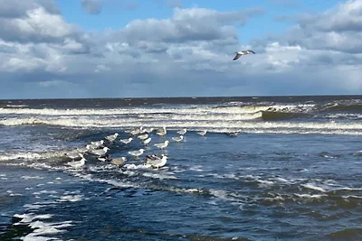 Wohnung in Sint Maartenszee in Strandnähe