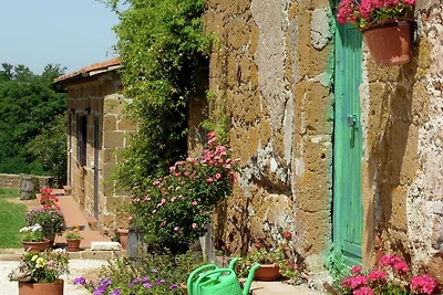 Splendida casa colonica con piscina a Sorano