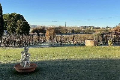 Fornace del Conte - Vigneto