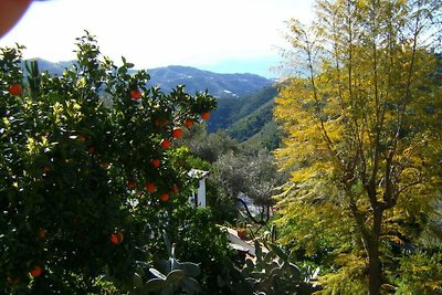 Casa Ranita Residenza di vacanza confortevole