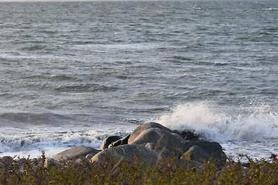 Charmante Hutte in der Natur -- By Traum...