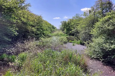 Abgeschiedenes Refugium am Lyngbo-Heath -- By...