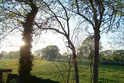 De Boer Comfortabele vakantiewoning