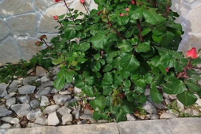 One-Bedroom Apartment With Terrace And Sea Vi...