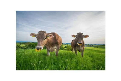 Stadelwohung Residenza di vacanza...