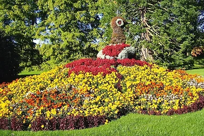 Villaggio turistico Öfingen, Bad Dürrheim
