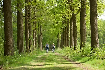 Hundefreundliches Familienhaus in...