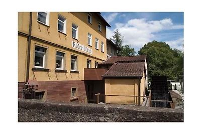 Rödermühle - Schwanennest