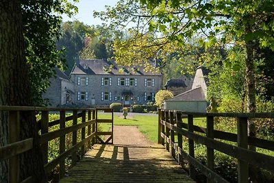 Kasteel in Ferrières met Vijvertuin