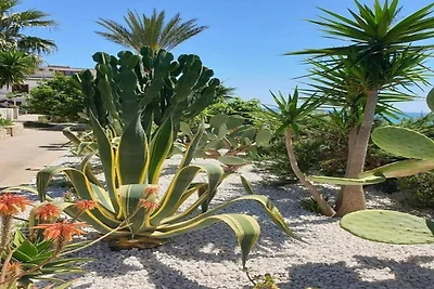 Appartamento Castelvetrano-Trilo Antica in...