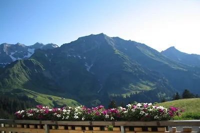Ferienhaus Erholungsurlaub Schröcken