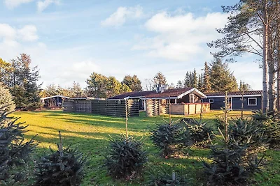 4 sterren vakantie huis in Hals