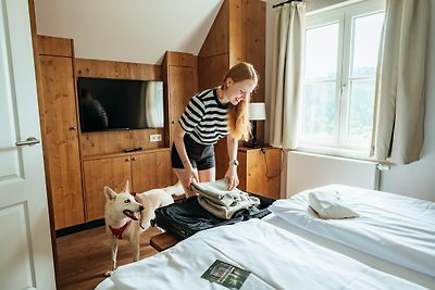 Ferienhäuser im Schierke Harzresort am Brocke...