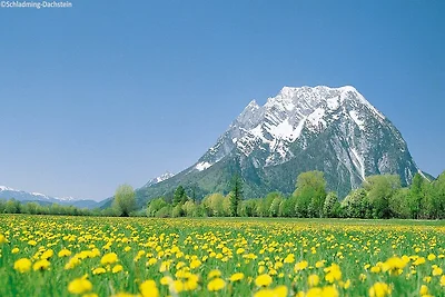 Lebendige Wohnung in der Nähe der Skipiste