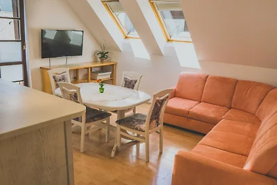 Comfortable Apartment with Mountain View - On...