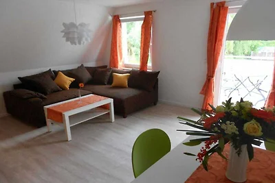 Gabbiano comune nella Haus Glückauf