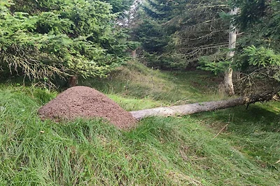 6 Personen Ferienhaus in Løkken-By Traum