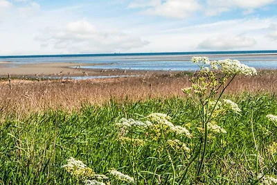 5 Sterne Ferienhaus in Ørsted