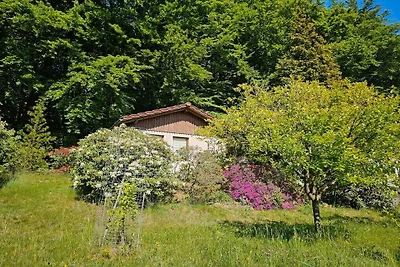 Vista verso sud ai margini della foresta