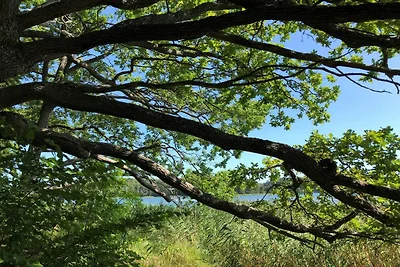 4 Sterne Ferienhaus in SORUNDA