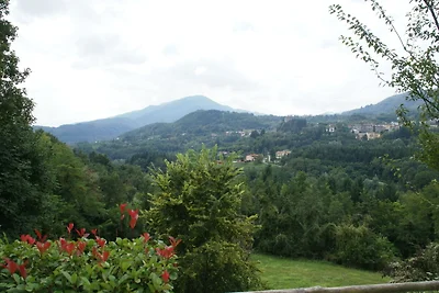 S. Romano in Garfagnana: villa di lusso, vasc...
