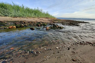 Gemutliches Refugium am Strand -- By Traum...